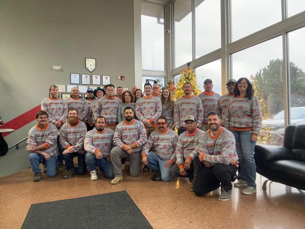 About Roof Check Inc.